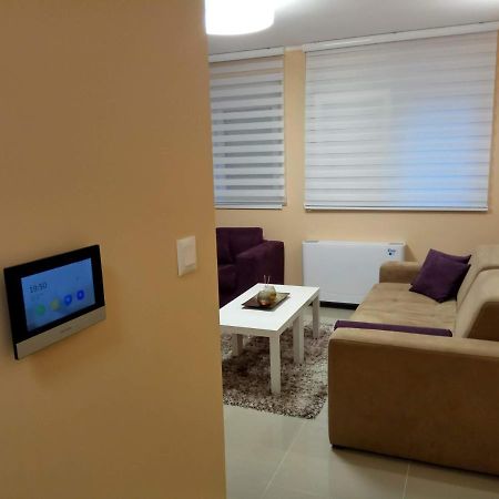 Apartment Cherry Gold 兹雷尼亚宁 外观 照片
