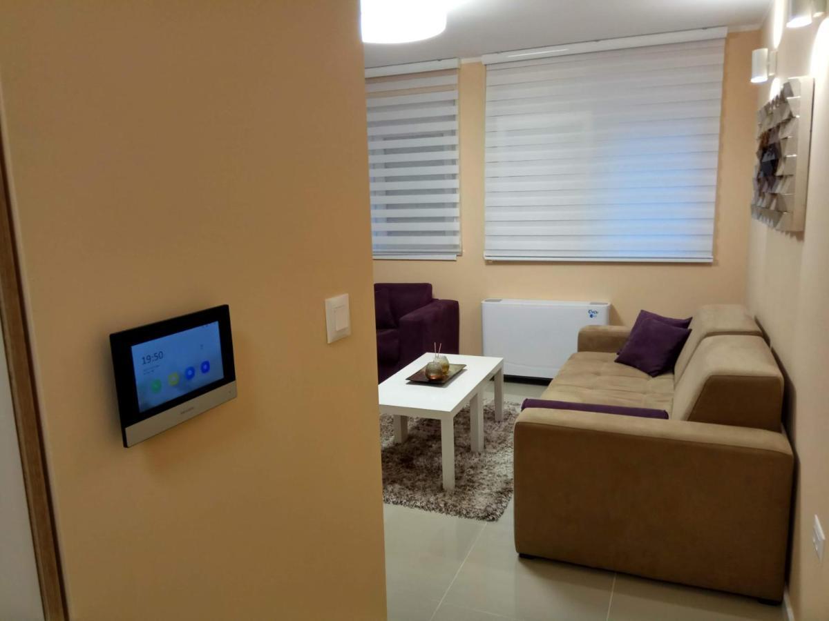 Apartment Cherry Gold 兹雷尼亚宁 外观 照片