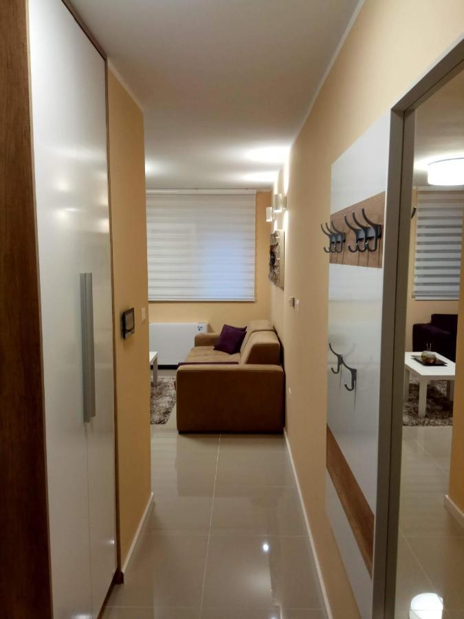 Apartment Cherry Gold 兹雷尼亚宁 外观 照片