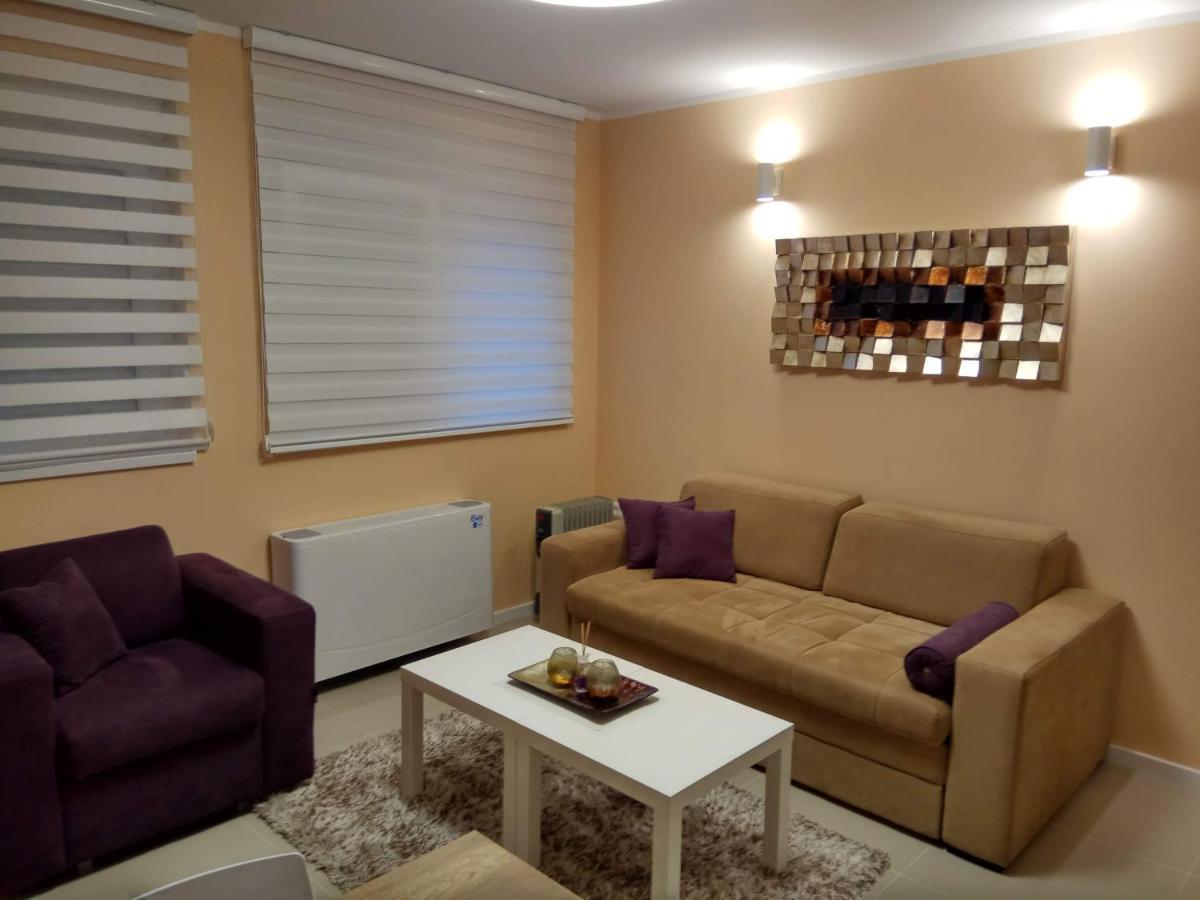 Apartment Cherry Gold 兹雷尼亚宁 外观 照片